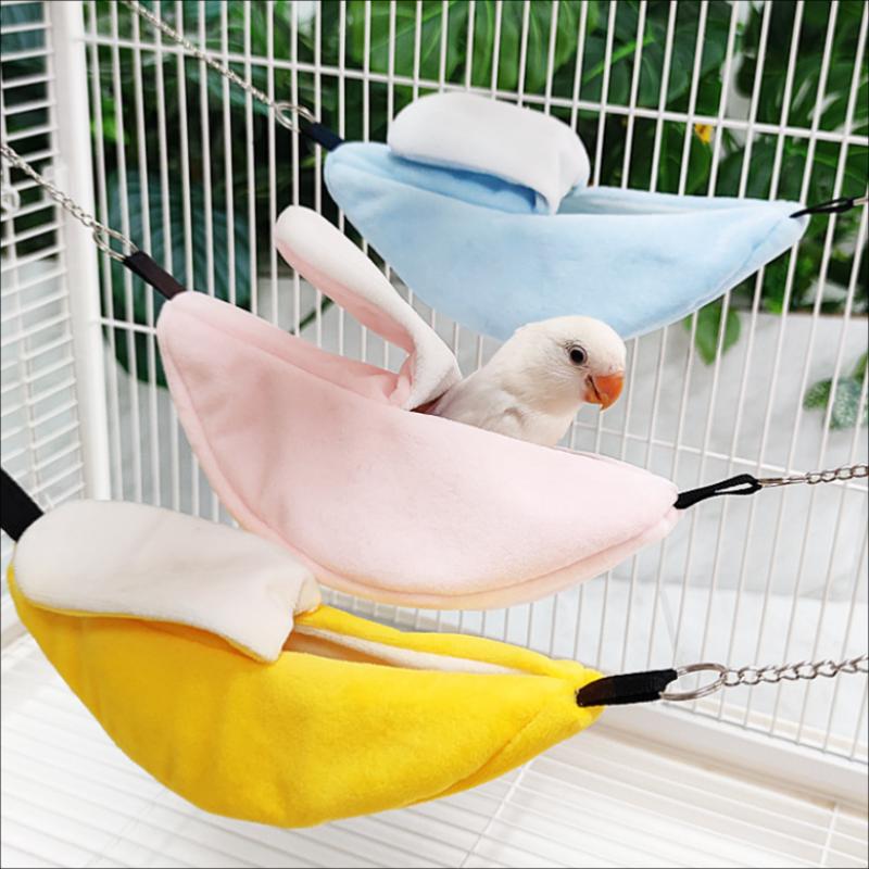 /KQM/Banana Hamster Bird Rat S - Fishing Kayak Sit On Top ulasan dan harga